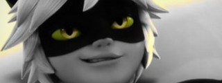  eres volpina o chat noir ?