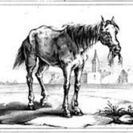 Sancho Panza es el escudero que acompa&ntilde;a a Don Quijote en sus aventuras. &iquest;C&oacute;mo se llama su caballo? - El Quijote