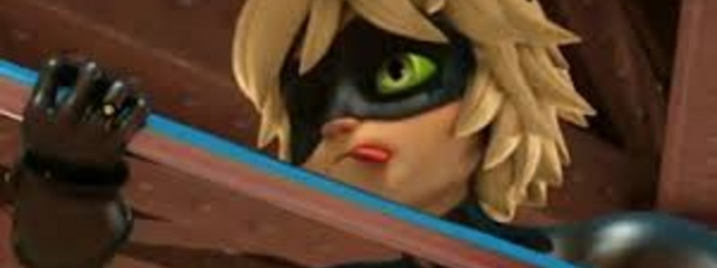 ¿Que tan fan eres de Chat Noir?