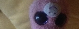 Qué peluche eres