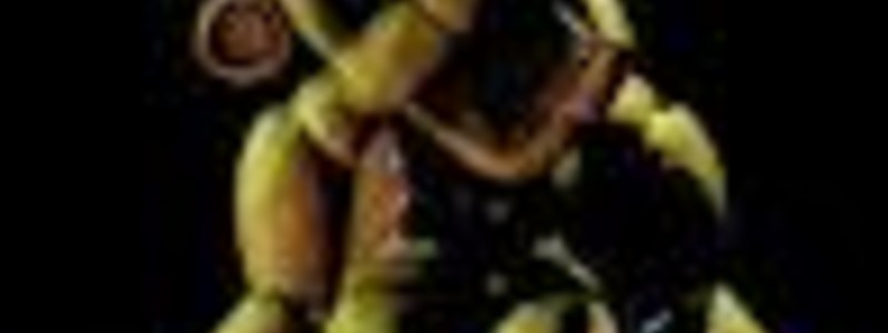 que personaje de fnaf eres