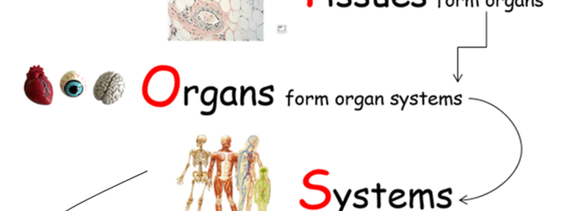 ORGANS AND SYSTEMS