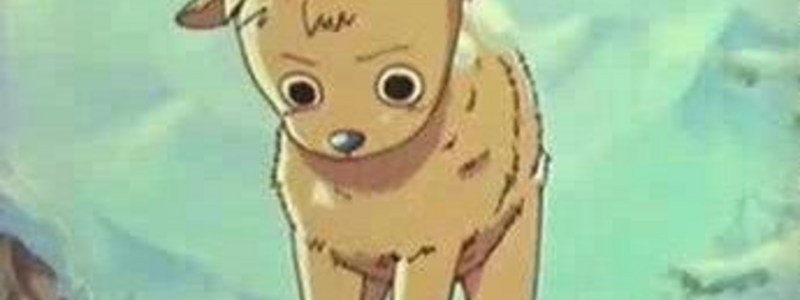 Cuanto me conoces xdxdxddd 