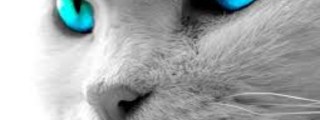 ¿con que personaje de EL REY LEON te identificas?