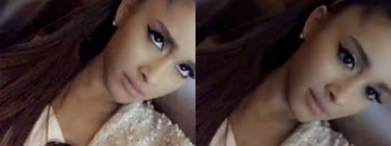Arianator,fan o posser?