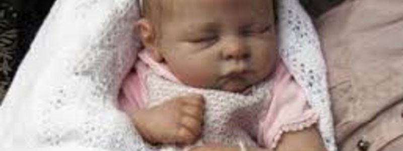 Cuanto sabes de los bebes reborn?