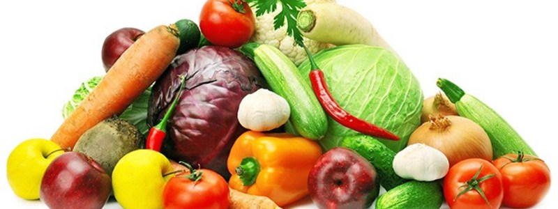 &iquest;Que vegetal eres?