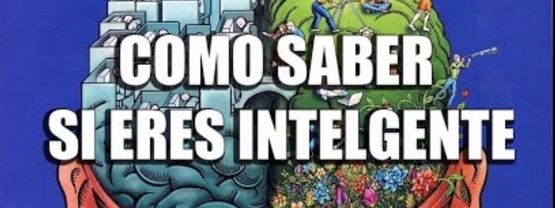 ¿como saber si eres inteligente?