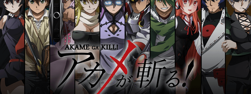 Wich Akame ga Kill (Night Raid) character are you?