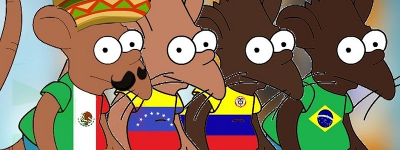 que tan niño rata eres