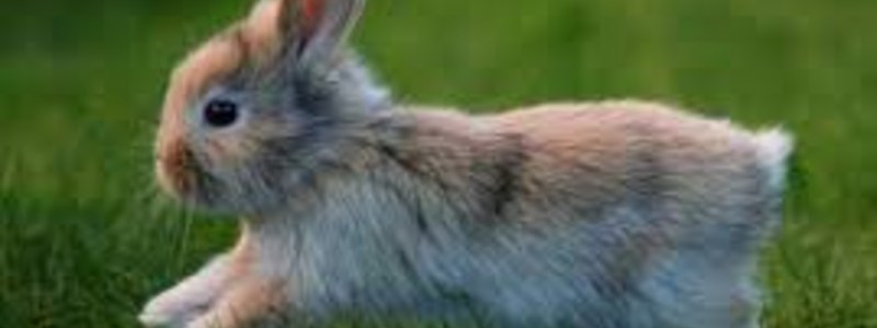 que cosa bonita te toca.