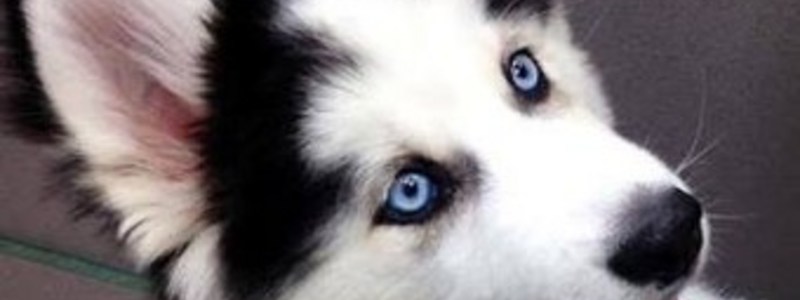 eres feo {a o hermoso {a :)