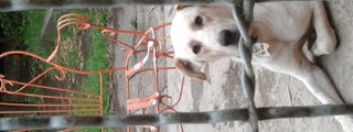 Conocimientoo