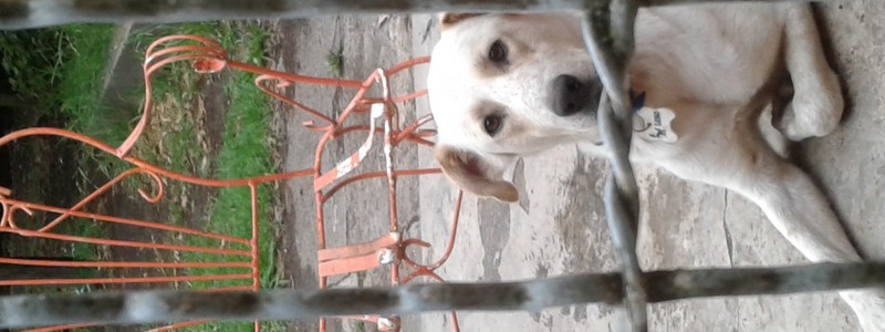 Conocimientoo