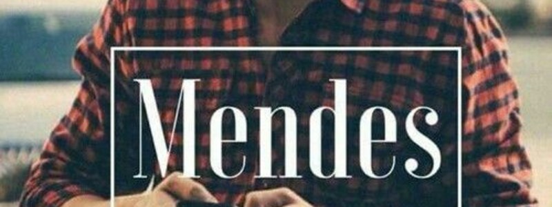 Shawn mendes