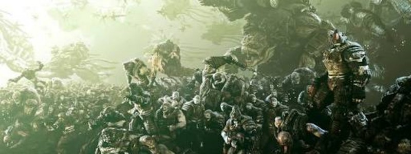 Cuanto sabes sobre los locust