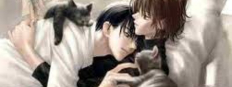 ¿Seme, Uke o Suke?