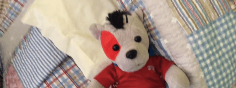 Que Personaje de estudios panda eres