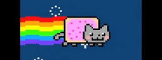 ¿cuánto sabes de los gatos?