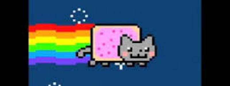 ¿cuánto sabes de los gatos?