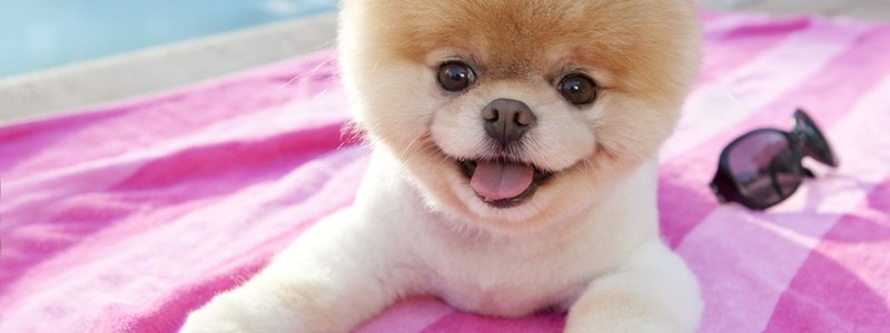 que tan tierno eres
