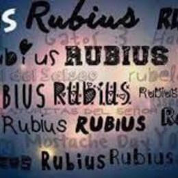 &iquest;cuantos gatos tiene? - cuanto sabes de elrubius 2017