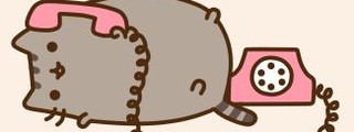 Cuanto sabes de pusheen cat