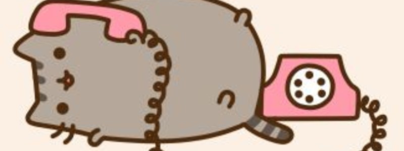 Cuanto sabes de pusheen cat
