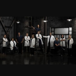 &iquest;En qu&eacute; temporada se estrell&oacute; el avi&oacute;n? - &iquest;Cu&aacute;nto sabes de Grey's anatomy