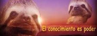 ¿QUE TANTO ME CONOCES?
