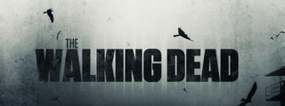¿Cuanto sabes de The walking dead?