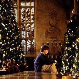 &iquest;Cu&aacute;l de estos regalos NO recibi&oacute; Harry en navidad? - Harry Potter y la Piedra Filosofal - Test