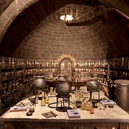 &iquest;Qu&eacute; se obtiene si se a&ntilde;ade polvo de ra&iacute;ces de asf&oacute;delo a una infusi&oacute;n de ajenjo? - Harry Potter y la Piedra Filosofal - Test