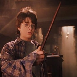 La descripci&oacute;n de la varita de Harry seg&uacute;n el se&ntilde;or Ollivander es: - Harry Potter y la Piedra Filosofal - Test