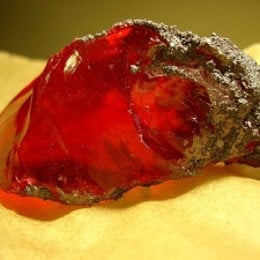 &iquest;En qu&eacute; parte de la escuela estaba resguardada la piedra filosofal? - Harry Potter y la Piedra Filosofal - Test