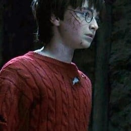 T&iacute;tulo del &uacute;ltimo cap&iacute;tulo del libro de Harry Potter y la piedra filosofal: - Harry Potter y la Piedra Filosofal - Test
