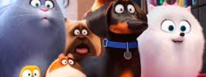 ¿Cuánto sabes de animales?
