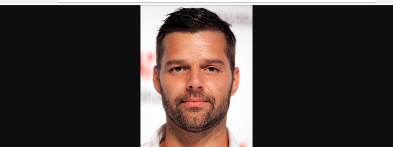 Cuanto conoces a Ricky martin