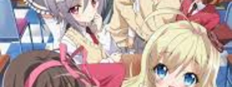 ¿Cuánto sabes de Noucome?