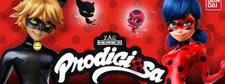 ladybug