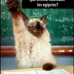 Te reistes? - Quanto Sentido Del Humor Tienes?
