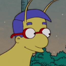 &iquest;De que color es la peluca que usa milhouse cuando van a la mundial de knoxville? - trivia de los simpsons 