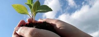 La resolución de problemas y el trabajo por proyectos en los procesos pro