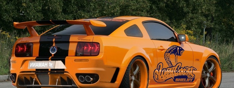 Que coche eres