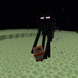 Facil: Que hace un Enderman? - &iquest;Cuanto sabes de Minecraft?