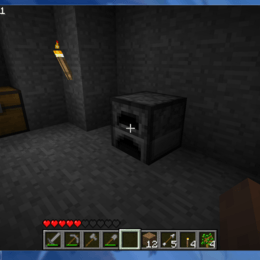 Medio: 1 Carbon cuantos usos tiene en el horno? - &iquest;Cuanto sabes de Minecraft?