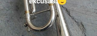 Cual es tu banda favorita