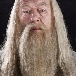 &iquest;CUANTOS A&Ntilde;OS TIENE DUMBLEDORE? - &iquest;Cuanto sabes sobre HARRY POTTER?