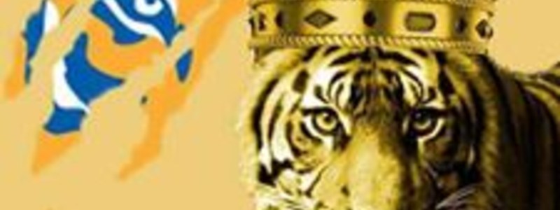 ¿QUE TANTO RUGES COMO TIGRE DE CORAZON ? 