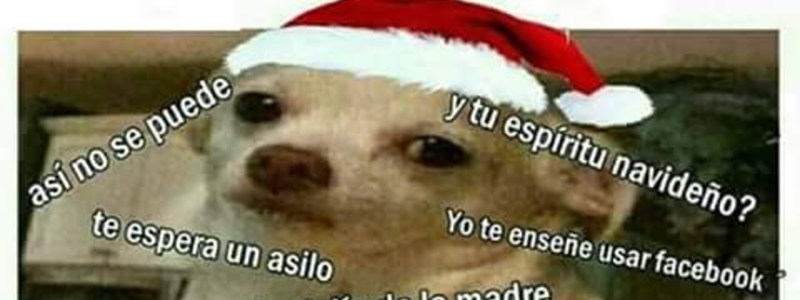 tu personalidad